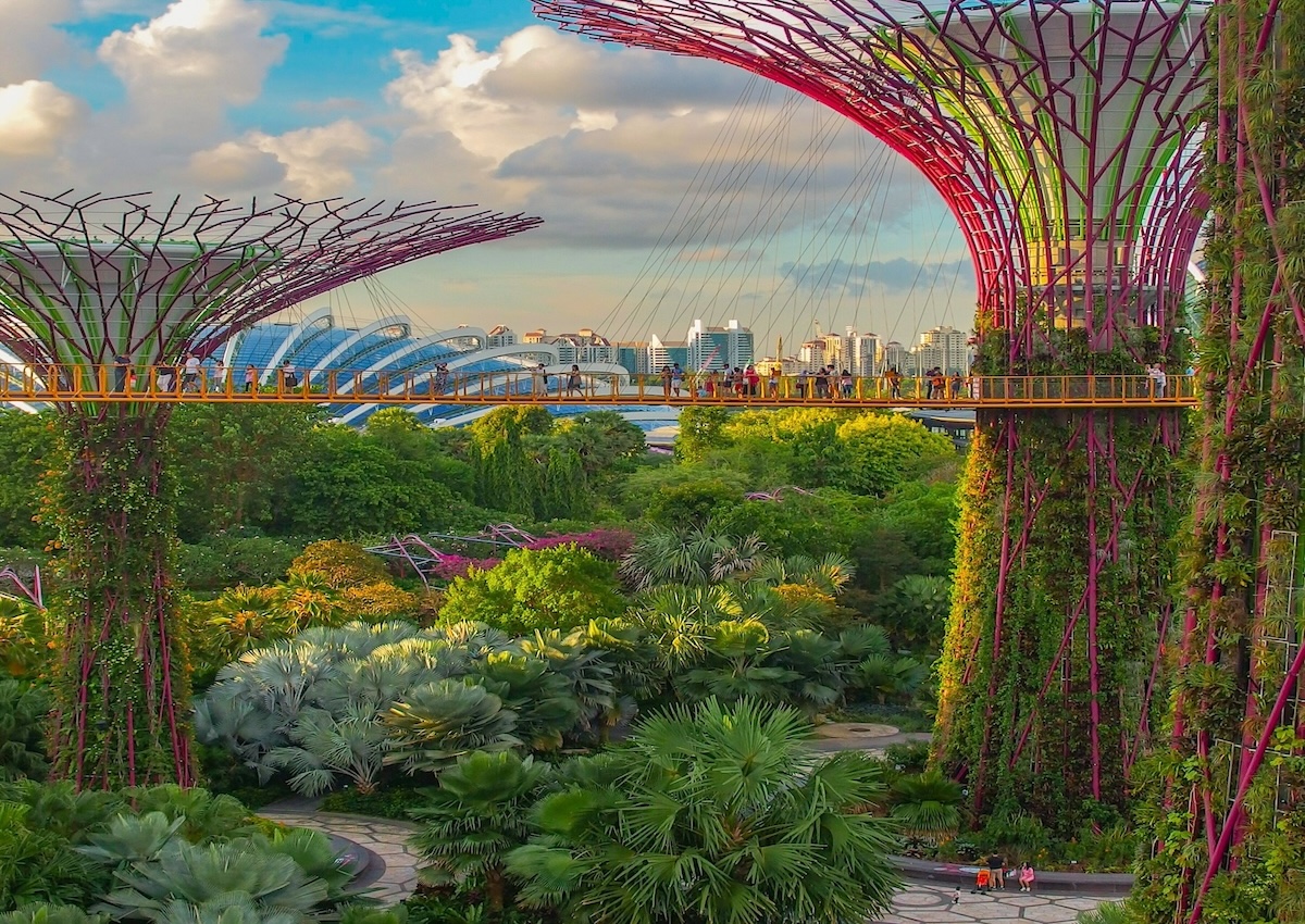 Supertree Grove has vertical gardens and an adventure trail